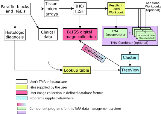 TMA System Paradigm