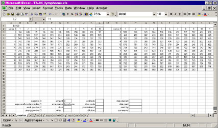 Master worksheet
layout