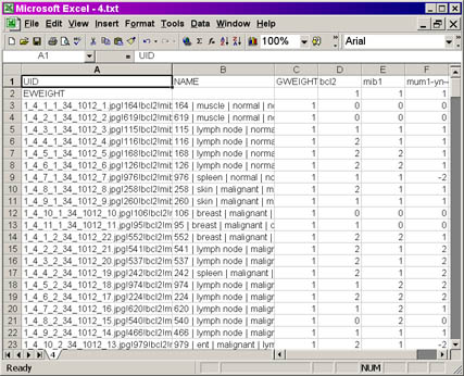 PCL output file Screenshot