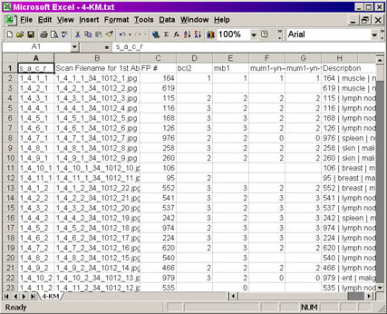 PCL output file Screenshot